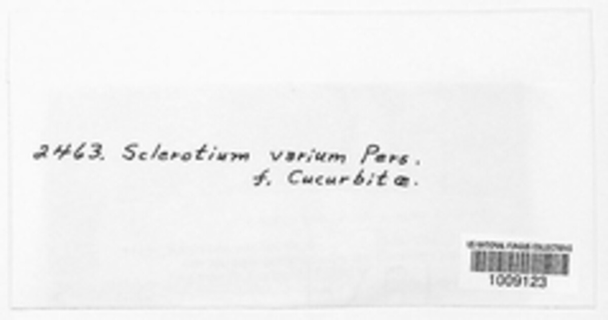 Sclerotinia image